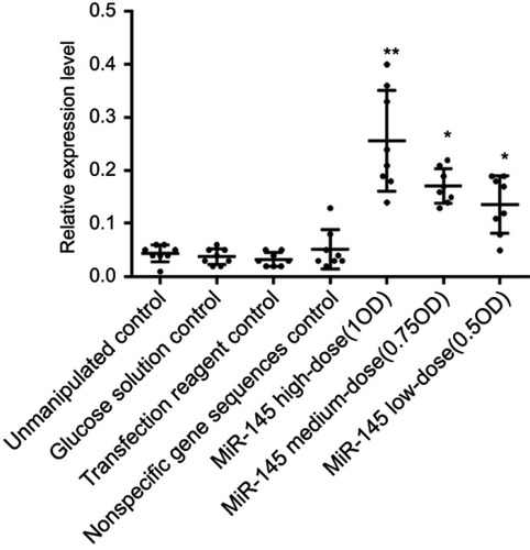 Figure 4 Effect of miR-145 on miR-145 expression in a nude mouse model of transplanted human LSCC AMC-HN-8 cells, relative to the unmanipulated control group; *p<0.05, **p<0.01.