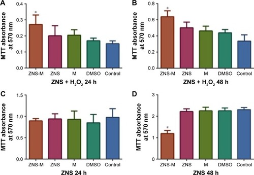 Figure 6 Antioxidative effects and cytotoxicity evaluation.Notes: The absorbance of H2O2-exposed CTX TNA2 cells treated with ZNS-M, free ZNS and blank M at (A) 24 h and (B) 48 h. The viabilities of CTX TNA2 cells treated with ZNS-M, free ZNS and blank M at (C) 24 h and (D) 48 h. *P<0.05.Abbreviations: M, micelles; MTT, thiazolyl blue tetrazolium bromide; DMSO, dimethyl sulfoxide; ZNS, zonisamide; ZNS-M, zonisamide micelles.