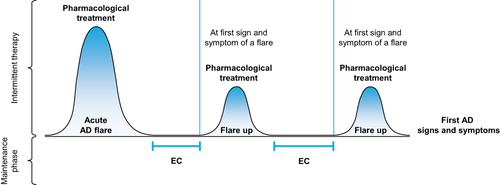 Figure 1 The synergistic approach to long-term AD management. Figure developed as a result of the expert panel’s discussions, in line with treatment labels and previous data.Citation54,Citation108