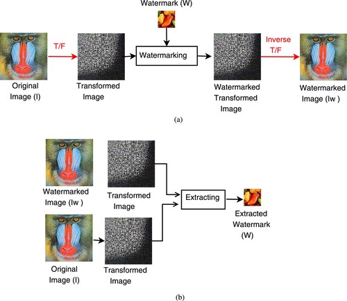 Figure 1. Traditional watermarking scheme: (a) watermark embedding and (b) watermark extraction.