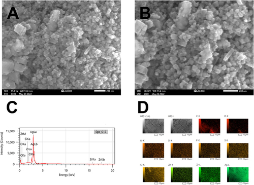 Figure 7 SEM micrographs illustrating the shape of Nos@AgNPs (A and B) synthesized by Nostoc muscorum Lukesova 2/91 and their EDx and mapping analyses (C and D). Of note, the mentioned map (Figure 7D) is a raw data exported from Edx software and IMG1 (1st) and IMG1 are images for the same spot as a result of routine scanning by Edx detector to enhance the electron signal. Scale bar of 200 nm.