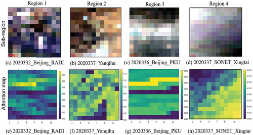 Figure 13. The daily of MODIS TOA reflectance true colour maps and the attention maps derived from Grad-CAM. A lighter colour indicates a higher weight and yellow indicates the highest weight.