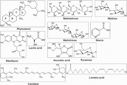 Figure 2. Chemical structure of selected bioactive compounds from various traditional fermented foods found in northeast states of India.