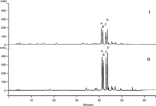 Figure 4.  Chromatographic profile of aqueous (I) and methanol (II) extracts of leaves of Leonurus sibiricus showing the main flavonoidic compounds.