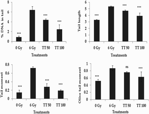 Figure 1 Protection against radiation-induced DNA damage in blood lymphocytes. TT: Ganoderma triterpenes (μg/ml). Data represented as mean ± SD, from three individual experiments, ***P < 0.001, nsP > 0.05 (Bonferroni test) with respect to damage group.