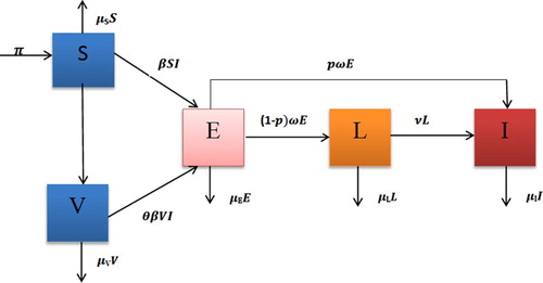 Figure 1. Schema of the compartmental model.