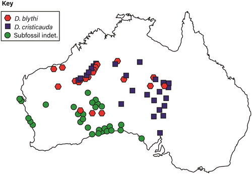 Figure 1. Map of the localities of modern and subfossil Dasycercus specimens used in this investigation. Specimens are labelled using their current museum identification.