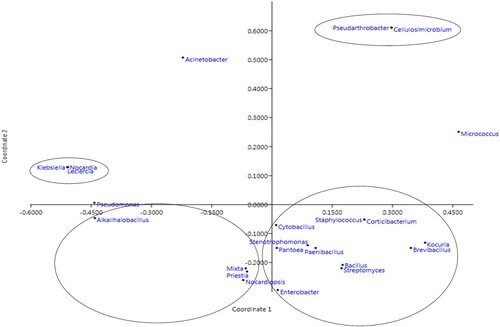 Figure 5. Principal coordinate analysis based on Bray-Curtis dissimilarity matrix for the seed endophytic bacterial community plotted using PAST software.