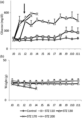 Figure 1. Streptozotocin (STZ)-mediated β-cell destruction. (a and b) Basal blood glucose levels and body weight were measured in mice injected with doses ranging from 110 to 200 mg of STZ per kilogram of body weight. The mean ± SEM derived from 6 mice is shown for each group.