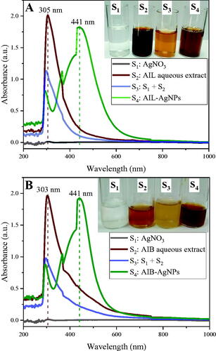 Figure 2. UV–vis absorption spectra of silver nitrate (S1), aqueous extracts (S2), Silver nitrate and aqueous extract mixture at T0 (S3) and biosynthesized silver nanoparticles (S4) using A. indica leaves (A) and Bark (B).