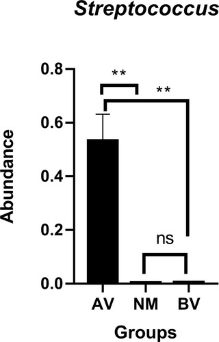 Figure 5 Comparison of the abundance of Streptococcus between AV, NM and BV samples. **p<0.01.