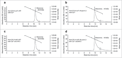 Figure 8. Size-exclusion chromatography of anti-CD14 scFv M-perm-2. The conformation of anti-CD14 scFv-WT (a,c) and anti-CD14 scFv M-perm-2 (b,d) in calcium-containing buffer (a,b) and calcium- and M13 peptide-containing buffer (c,d) was determined by SEC. Molar mass calibration was done with a gel filtration standard (filled squares) containing thyroglobulin (670 kDa), bovine γ-globulin (158 kDa), chicken ovalbumin (44 kDa), equine myoglobin (17 kDa) and vitamin B-12 (1.35 kDa).