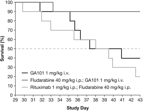Figure 4. Kaplan–Meier curves for time-to-event until day 43 in s.c. implanted Z138 MCL xenografts treated with obinutuzumab (GA101) monotherapy, obinutuzumab (GA101)/fludarabine combination therapy, and rituximab plus fludarabine combination therapy.