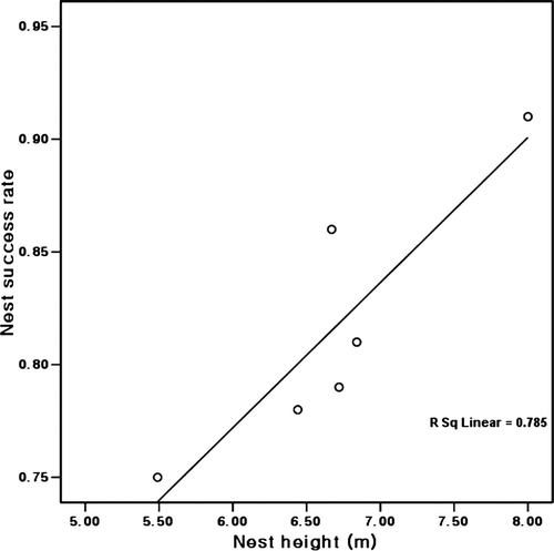 Figure 4.  The positive relationship of mean nest success rates with mean nest heights of six species at Taeseong, Chungbak, Korea, 2001.