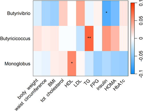 Figure 3. Heatmap showing the longitudinal association between 1-year change CQI-related genera and 1-year change in cardiovascular risk factors. Association tested with linear mixed model and adjusted for intervention group, timepoint, recruiting center (Alicante, Barcelona, Reus, Valencia), smoking status (former smoker, never smoked, smoker), diabetes status, sex, age categories (below the median, < 65 years old; above the median, > 65 years old). Participant ID was set as random effect. For each cell, colors indicate the association coefficient with cardiovascular risk factors and asterisks denote significance. *p < 0.05; **p < 0.01. TG, triglycerides FPG, fasting plasma glucose; HDL, high-density lipoprotein; LDL, low-density lipoprotein; HOMA, homeostasis model assessment; HbA1c, glycated hemoglobin.