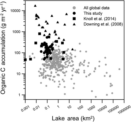 Figure 6. Global relationship between lake and pond size and OC accumulation or burial rates compared to data from this study and others in 2 similar regions (Downing et al. Citation2008, Knoll et al. Citation2014). Global data are from many sources (Mulholland and Elwood Citation1982, Manthorne Citation2002, Alin and Johnson Citation2007, Cordeiro et al. Citation2008, Landers et al. Citation2008, Rippey et al. Citation2008, Mast et al. Citation2010, Kunz et al. Citation2011, Mackay et al. Citation2012, Obrador and Pretus Citation2012, Teodoru et al. Citation2012, Van Metre Citation2012, Brothers et al. Citation2013, Gui et al. Citation2013, Heathcote et al. Citation2013, Hobbs et al. Citation2013, Anderson et al. Citation2014, Ferland et al. Citation2014, Dietz et al. Citation2015, Almeida et al. Citation2016).