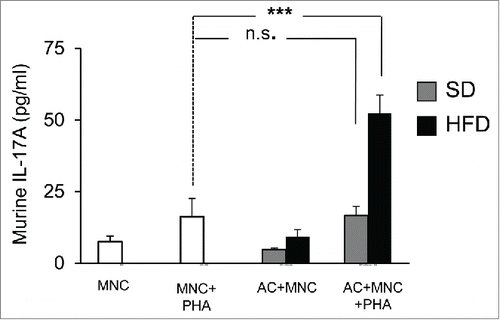Figure 5. Murine adipocytes from obese, but not lean mice, induce IL-17A secretion in MNC-adipocytes co-cultures. Adipocytes from subcutaneous adipose tissue of mice fed a standard diet (SD, gray bars) or a high-fat diet (HFD, black bars) were co-incubated with spleen-derived MNC and stimulated or not with PHA. Cell culture supernatants were analyzed by ELISA for the secretion of murine IL-17A. Error bars represent standard deviations from n ≥ 5 independent experiments. ***p < 0.001; as tested by one-way ANOVA followed by Bonferroni's multiple comparison test. n.s not statistically significant.