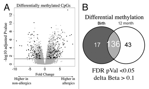 Figure 2. EWAS analysis test identifies differentially methylated CpG (A) Volcano plot depiction of the case vs. control test for differential methylation. DMP were identified by a combination of significance and effect size. The plot shows the log fold genome-wide methylation measurements (x-axis) by the –log P value (FDR-adjusted). Significant data points lie above the gray line. Those with an absolute delta Beta effect size of >10% are shown in black and were identified as candidates. (B) Venn diagram of DMPs detected at each age.