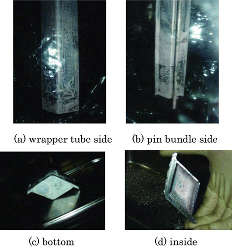 Figure 6 Surface views of an inner duct model after drain test (case 0–3)