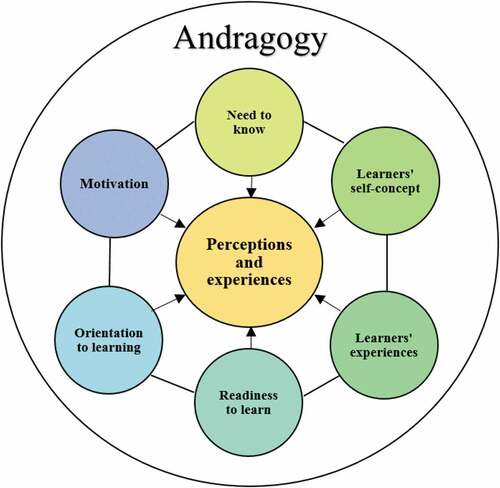 Figure 2. The relationship between andragogy and ESL teachers’ perceptions of and experiences with the ProELT.