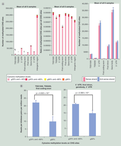 Figure 2.  Non-CpG (CHG and CHH) methylation status based on the mean values for human normal purified hepatocytes (HPC6, HPC20, HPC25, HPC27, HPC28 and HPC35). (A) Methylation status on CHG sites. The number of methylated CHG sites in TSS200s (*) were significantly lower than those of TSS1500 (p = 7.544 × 10-6), 5′ UTR (p = 3.649 × 10-6), first intron (p = 4.154 × 10-6), gene body (p = 2.786 × 10-6), 3′ UTR (p = 3.318 × 10-6) and intergenic region (p = 3.182 × 10-6). The number of methylated CHG sites in first coding exons (†) were significantly lower than those of TSS1500 (p = 7.213 × 10-6), TSS200 (p = 9.236 × 10-5), 5′ UTR (p = 3.453 × 10-6), first intron (p = 3.785 × 10-6), gene body (p = 2.673 × 10-6), 3′ UTR (p = 3.060 × 10-6) and intergenic region (p = 3.147 × 10-6). The number of methylated CHG sites in TSS1500 (¶) were significantly lower than those of 5′ UTR (p = 4.864 × 10-6), first intron (p = 5.772 × 10-6), gene body (p = 3.512 × 10-6), 3′ UTR (p = 3.930 × 10-6) and intergenic region (p = 3.461 × 10-6). The ratios of CHG sites showing 20% or more cytosine methylation among all CHG sites belonging to TSS1500, TSS200, 5′ UTR, first coding exon, first intron, gene body, 3′ UTR and intergenic region are shown in the middle panel. The number of CHG sites (mean ± standard error for all six samples) showing 20% or more cytosine methylation on the sense and antisense strands are shown in the right panel. (B) Association between CHG methylation and gene expression. CHG methylation in TSS1500, TSS200 and first coding exon (p = 4.022 × 10-4) and in 5′ UTR, first intron, gene body and 3′ UTR (p = 2.369 × 10-3) was inversely associated with expression levels. (C) Methylation status on CHH sites. The number of methylated CHH sites in TSS200s (*) were significantly lower than those of TSS1500 (p = 1.041 × 10-6), 5′ UTR (p = 8.590 × 10-7), first intron (p = 5.310 × 10-7), gene body (p = 3.369 × 10-6), 3′ UTR (p = 1.649 × 10-6) and intergenic region (p = 1.939 × 10-7). The number of methylated CHH sites in first coding exons (†) were significantly lower than those of TSS1500 (p = 9.096 × 10-7), TSS200 (p = 1.714 × 10-6), 5′ UTR (p = 8.214 × 10-7), first intron (p = 4.849 × 10-7), gene body (p = 3.260 × 10-6), 3′ UTR (p = 1.514 × 10-6) and intergenic region (p = 1.924 × 10-7). The number of methylated CHH sites in TSS1500 (¶) were significantly lower than those of 5′ UTR (p = 1.161 × 10-6), first intron (p = 4.606 × 10-7), gene body (p = 4.555 × 10-6), 3′ UTR (p = 2.801 × 10-6) and intergenic region (p = 2.075 × 10-7). The ratio of CHH sites showing 20% or more cytosine methylation among all CHH sites belonging to TSS1500, TSS200, 5′ UTR, first coding exon, first intron, gene body, 3′ UTR and intergenic region is shown in the middle panel. Twenty percent or more CHH methylation was observed more frequently on the antisense strand than on the sense strand (coding strand) in the 5′ UTR (p = 1.312 × 10-3), first intron (p = 1.214 × 10-4), gene body (p = 2.598 × 10-3) and 3′ UTR (p = 1.885 × 10-2) (right panel of C), whereas CHG methylation did not show such significant differences between the sense and antisense strands (right panel of A). (D) Association between CHH methylation and gene expression. CHH methylation in TSS1500, TSS200 and first coding exon (p = 1.170 × 10-13) and in 5′ UTR, first intron, gene body and 3′ UTR (p = 3.337 × 10-4) was inversely associated with expression levels. Error bars, standard error.TSS: Transcription start site; UTR: Untranslated region.