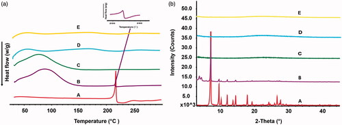 Figure 5. DSC thermograms (a) and XRD curves (b) of the pure TanIIA powder (A), PM (B), TanIIA@MSNs (C), TanIIA@LB-MSNs (D) and TanIIA@ Bio-LB-MSNs (E).