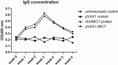 Figure 2. EmMIC7-specific IgG levels in chickens’ serum. Each group of chickens was immunized with 100 μg of pVAX1-MIC7, 200 μg of rEmMIC7 protein, 100 μg of pVAX1 or sterile PBS solution, respectively. One week later, a booster immunization was given with the same amount of components as the primary immunization. The blood from each group of chickens were collected for determination of IgG levels weekly using ELISA with respect to absorbance at 450 nm, starting from the day of first immunization, ending at the fourth week post the booster immunization. The concentrations of the IgG levels are expressed as mean ± SD.