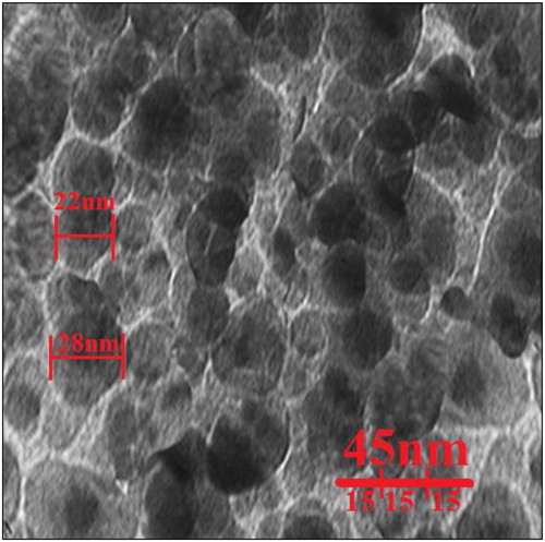 Figure 5. TEM image of copper nanoparticles.