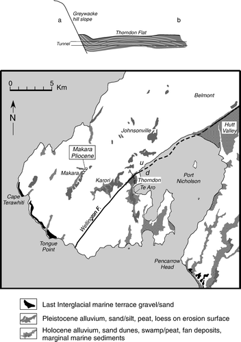 Figure 10  Map showing the distribution of Pleistocene-Holocene sediments in the Wellington Peninsula and the Makara Pliocene rocks (after Begg and Johnston Citation2000). The A-B section is after Adkin (Citation1954).