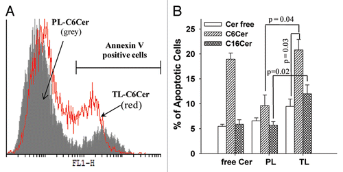 Figure 3 Apoptosis induced by ceramide-loaded TL. HeLa cells were treated with 50 µg/ml PL or TL (loaded or non-loaded with C6Cer or C16Cer) or free C6Cer (at concentrations equal to the ceramide content in the liposomal formulations) in complete DMEM for 24 h followed by washing, trypsinization, and incubation with Annexin V-Alexa488. The green fluorescence (FL-1 channel) of apoptotic cells was measured with a FACS. (A) The histogram analysis of the cells treated with C6Cer-liposomes. (B) The percentage of Annexin V-positive cells. The data are a mean for four experiments ± SEM.