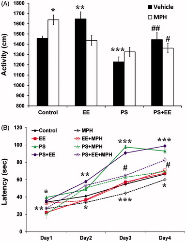 Figure 3. Locomotor activity and motor learning. (A) In the open-field test, the PS group showed the lowest activity (***p < 0.0001) compared with the control group, while PS + EE and PS + EE + MPH recovered this hypo-activity (#p < 0.019, ##p < 0.0001: compared with the PS group) back to the control group level. In addition, MPH or EE increased activity (*p < 0.003, **p < 0.002, compared with the control group). (B) In the rotor-rod test, both PS and PS + EE showed the highest motor learning ability compared with the control group, while the MPH group showed the lowest performance (*p < 0.024, **p < 0.001, ***p < 0.0001: compared with the control group; #p < 0.0001: compared with the PS group).