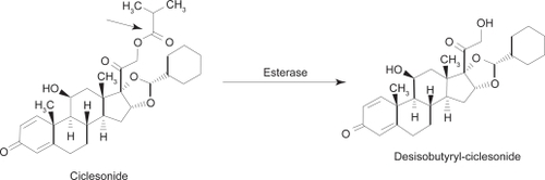 Figure 1 Molecular structure of ciclesonide and its activated metabolite, desisobutyryl-ciclesonide (des-CIC). Christie P. Ciclesonide: A novel inhaled corticosteroid for asthma. Drugs Today (Barc). 2004; 40(7):569–576.Citation19 Copyright © 2004 Prous Science, S.A.U. All rights reserved.