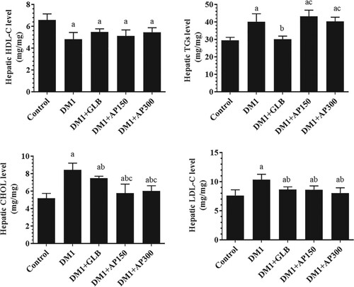 Figure 3. Hepatic levels of high-density lipoprotein cholesterol (HDL-C) (A), total triglycerides (TGs) (B), total cholesterol (CHOL) (C), and low-density lipoprotein cholesterol (LDL-C) (D) in all experimental groups of rats. Data are expressed as mean ± SD (n=10). Values were considered significantly different at p < 0.05. a: significantly different as compared to control non-diabetic rats. b: significantly different as compared to streptozotocin-induced diabetic rats (DM1). c: significantly different as compared to DM1 + glimepiride (GLB)-treated rats. AP150: Aloe perryi (150 mg/Kg). AP300: Aloe perryi (AP) (300 mg/Kg).