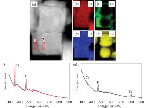 Figure 6. STEM-EELS images of BT/CT NCs (a) STEM image, (b) O, (c) Ca, (d) Ti, and (e) Ba mapping of (a). (f), (g) EELS spectra taken from area 1 and 2 in image (a), respectively