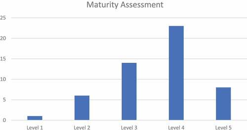 Figure 2. Overall maturity level.