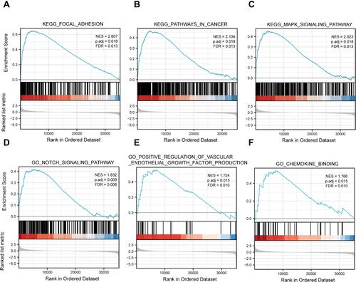Figure 6 The GSEA analysis results of TCGA RNA-seq data. (A–C) TGFBR1-related signaling pathways in c2.cp.v7.2.symbols.gmt. (D–F) TGFBR1-related signaling pathways in c5.all.v7.2.symbols.gmt (Gene ontology).