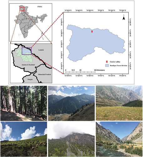 Figure 1. Study area location and landscape overview of Gurez valley, Kashmir Himalaya, India.