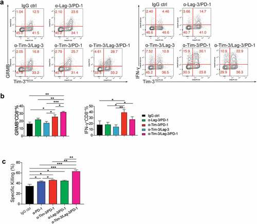 Figure 6. Triple administration with Tim-3, PD-1 and Lag-3 mAbs greatly increased the effector function of tumor-infiltrating CD8+ T cells