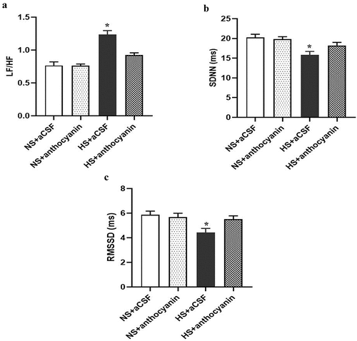 Figure 2. Effect of anthocyanin by chronic bilateral PVN infusion on heart rate variability (HRV) in rats with salt-induced hypertension. The rats fed 8% high salt diet (HS) and the rats fed 0.9% normal salt diet (NS) were treated with vehicle (aCSF, 0.4 μL/h) or anthocyanin (10 mg/kg, 0.4 μL/h) into the bilateral PVN of rats. HRV parameters including LF/HF (A), SDNN (b) and RMSSD (c) were measured by Powerlab ECG system at 16 weeks of age. Data were expressed as the means ± S.E.M (n = 6/group). *P < .05 vs others.