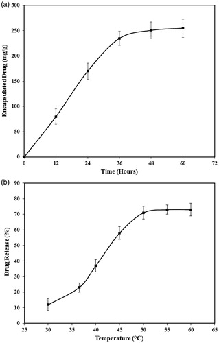 Figure 10. The nanoparticles ability in (a) encapsulation and (b) release of DOX used as a model drug.