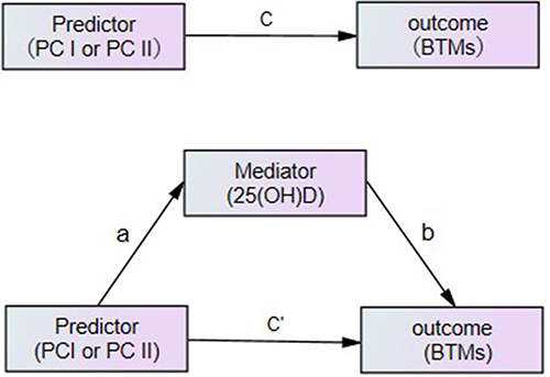 Figure 2 The conceptual mediation model: “a” indicates the path from PC I and PC II(predictor) to 25(OH)D (mediator), “b” indicates the path from 25(OH)D (mediator) to BTMs (outcome), “c” indicates the path from PC I and PC II(predictor) to BTMs (outcome), and “c’” indicates the path from PC I and PC II(predictor) to BTMs (outcome) when controlled for 25(OH)D (mediator).