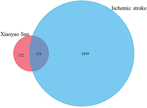 Figure 1 The intersection of the library of compound targets and the library of ischemic stroke (IS) targets.