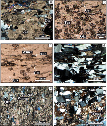 Figure 3. Photomicrographs of the Saint-Marcel valley metasedimentary sequence. All samples are from the Mount-Roux section (see Figure B in the map). (a) Impure marble consisting of calcite, polycrystalline quartz, white mica, garnet, zoisite. (b) Manganiferous quartzite consisting of quartz, garnet, tourmaline, white mica, chlorite. (c, d) Carbonate-rich micaceous quartzite consisting of quartz, white mica, garnet, Fe-rich carbonate, clinozoisite alternating with fine-grained pale-grey marble consisting of calcite, polycrystalline quartz, and white mica. (e, f) Calcschist made of carbonate, polycrystalline quartz, white mica, garnet from the micaceous portion of flysch-like calcschists; relict isoclinal fold hinges are visible (Mount-Roux section). Photomicrographs a, b, d, e were made under cross-polarised light; photomicrographs b, c under plane-polarised light. Mineral abbreviations according to CitationSiivola and Schmid (2007).