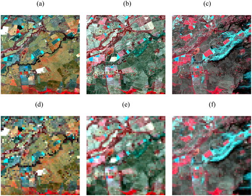Figure 3. False-color composite images of a landscape with land cover type change: (a), (b) and (c) are Landsat images acquired on (a) 25 October 2004, (b) 26 November 2004 and (c) 12 December 2004; (c) and (d) are 450 m MODIS-like images aggregated from (a), (b) and (c).