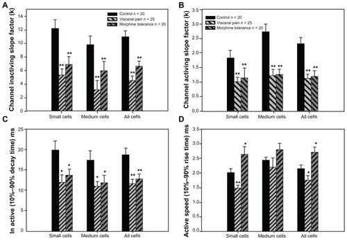 Figure 4 Effect of visceral inflammatory pain or morphine tolerance on voltage dependence of activation and steady-state inactivation of TTX-R Na+ current in DRG neurons.