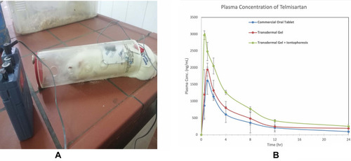 Figure 6 A Setting of experiment of application of Telmisartan transethosome gel Iontophoresis; B Comparative study of plasma concentration-time curve for commercial product, formula 29 and formula 29 with Iontophoresis.
