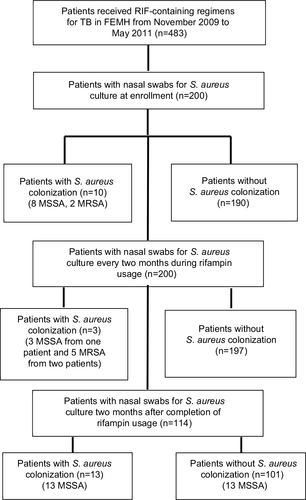 Figure 1 Study algorithm for nasal swab cultures of patients who received rifampin (RIF)-containing regimens against tuberculosis (TB) and their colonization status for methicillin-susceptible Staphylococcus aureus (MSSA) and methicillin-resistant S. aureus (MRSA).