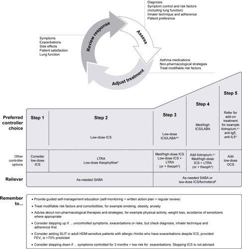 Figure 1 Asthma management based on a continuous cycle of patient assessment, treatment, and review.