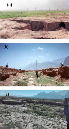 Figure 2. View of the gully erosion in the Fareghan watershed: (a) gully erosion in agriculture area, (b) measurement of morphometric characteristics of gully erosion, and (c) gully erosion in rangeland area.Source: Author.