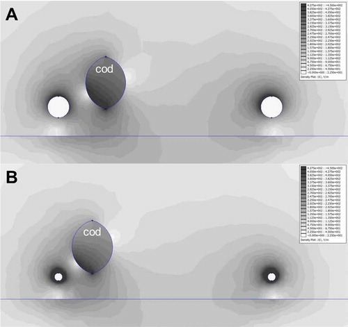 Figure 2. Qualitative approaching simulation of a cross section of an Atlantic Cod exposed to (A) the Delmeco electrodes (diameter, 26 mm) and (B) the Marelec electrodes (diameter, 12 mm) with a 60 V difference and a mutual distance of 0.325 m. Lighter gray represents the lower field strengths (V/m) present inside cod exposed to the thinner Marelec electrodes.